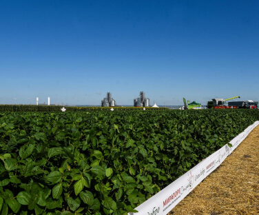 Search on the Miratorg website — Crop production