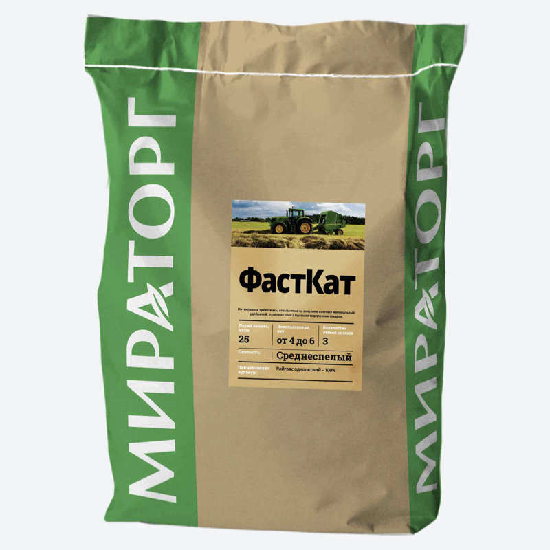 Фаст Кат