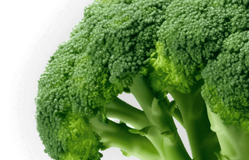 Vegetables