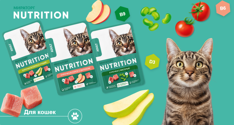«Мираторг» поддерживает тренд функционального питания: суперфуды в рационе кошек «Мираторг» поддерживает тренд функционального питания: суперфуды в рационе кошек