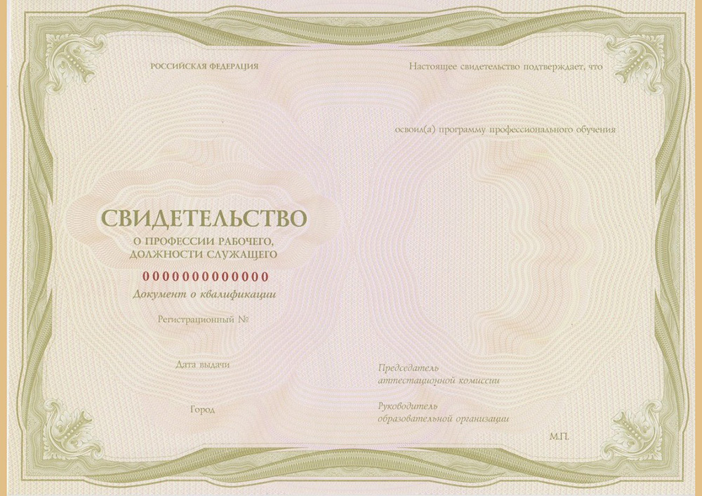 Выдаваемые документы