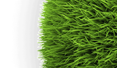 Lawns