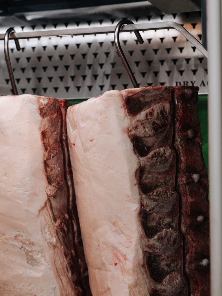 IMG_3857_resized.jpg IMG_3857_resized.jpg