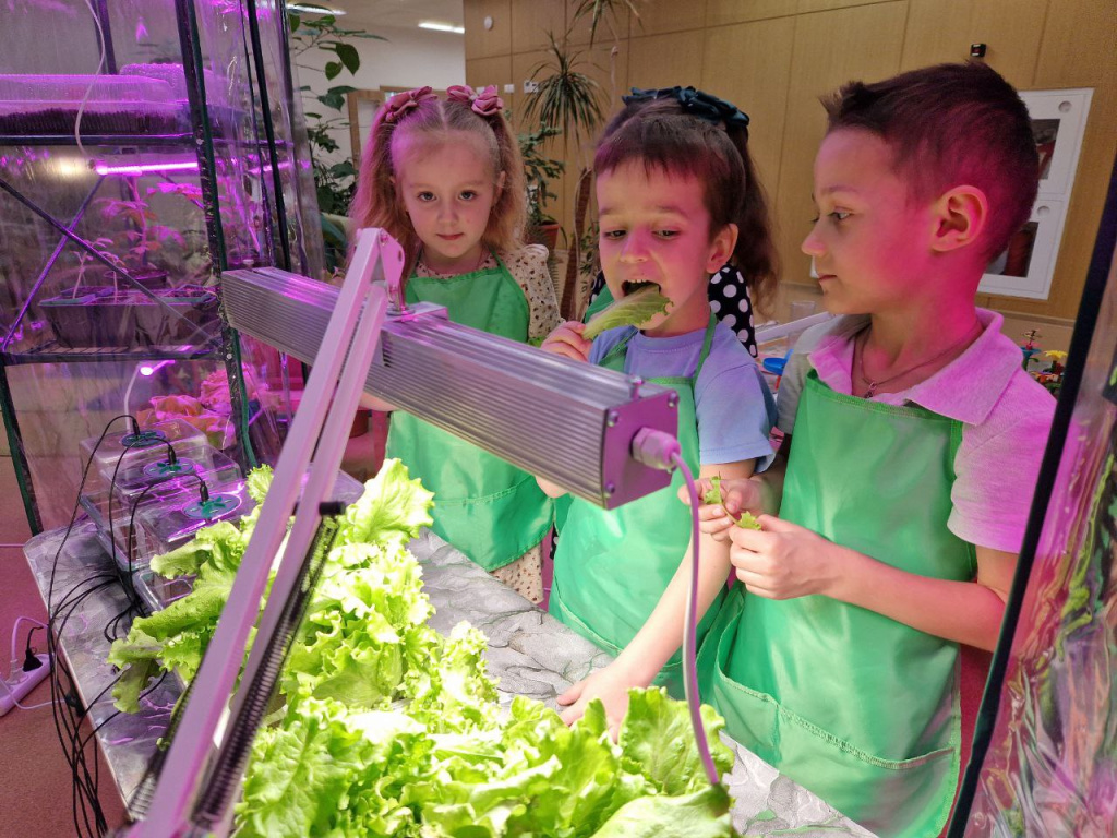 photo_2026-02-20_10-59-16 (2).jpg