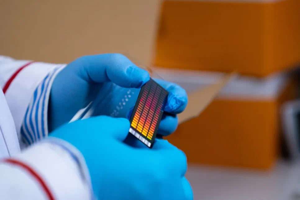 DSC08956.jpg DSC08956.jpg