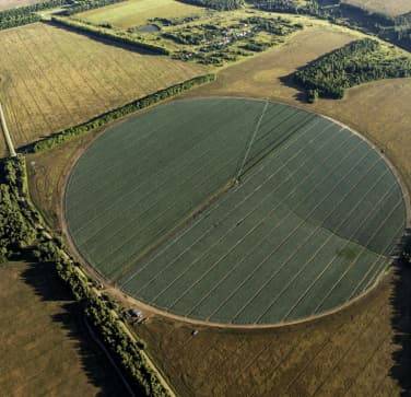 Miratorg revives the breeding system in Russia