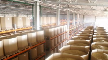 «Мираторг» увеличит объём производства смесей семян газонных трав на 37% – до 1,3 тысяч тонн в 2024 году