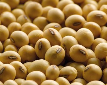 Miratorg products — Manitoba