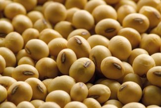 Miratorg products — Manitoba
