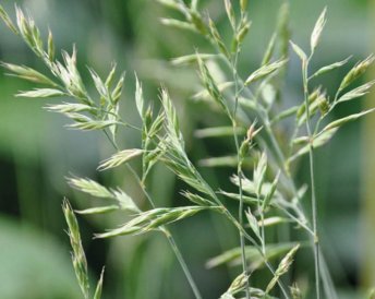Продукция Мираторг — Свердловская 37