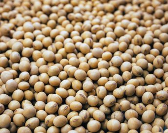 Miratorg products — Rejana