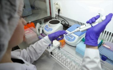 Мираторг — Растениеводство — это Полевые и лабораторные испытания