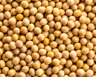 Miratorg products — Soi